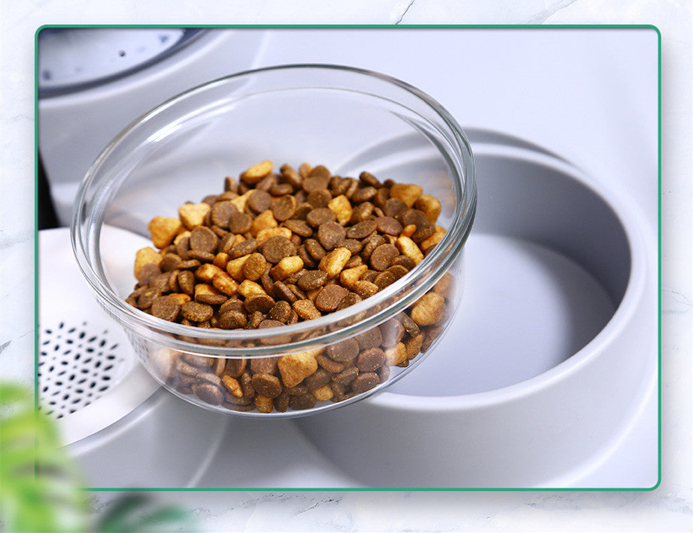 Distributore d'acqua automatico per gli animali domestici