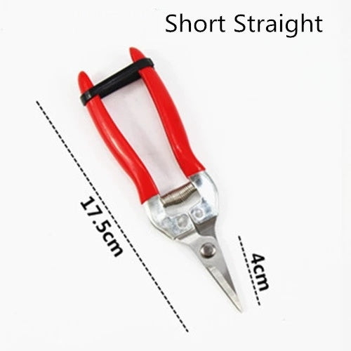 Stainless steel scissors